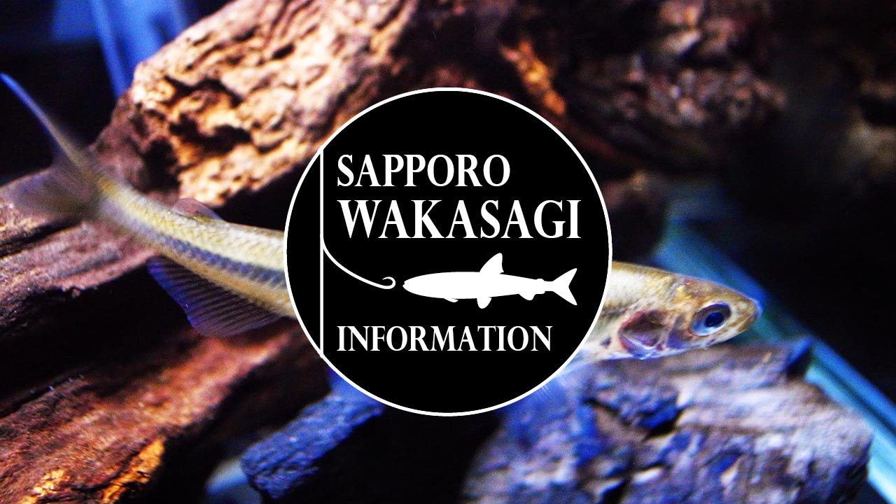 さっぽろワカサギいんふぉ